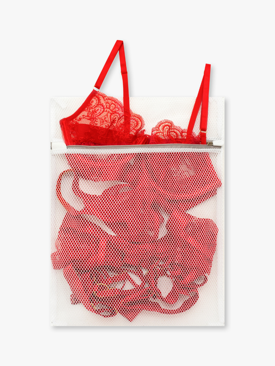 Lingerie Care Bag